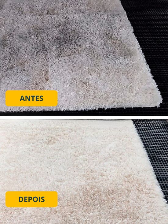 Higienização de Tapetes e Carpetes